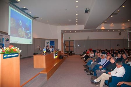 04.JPG