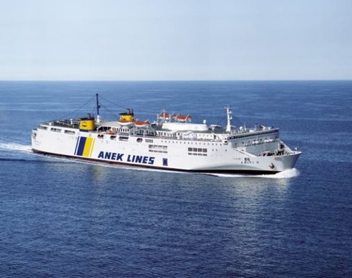 06.JPG